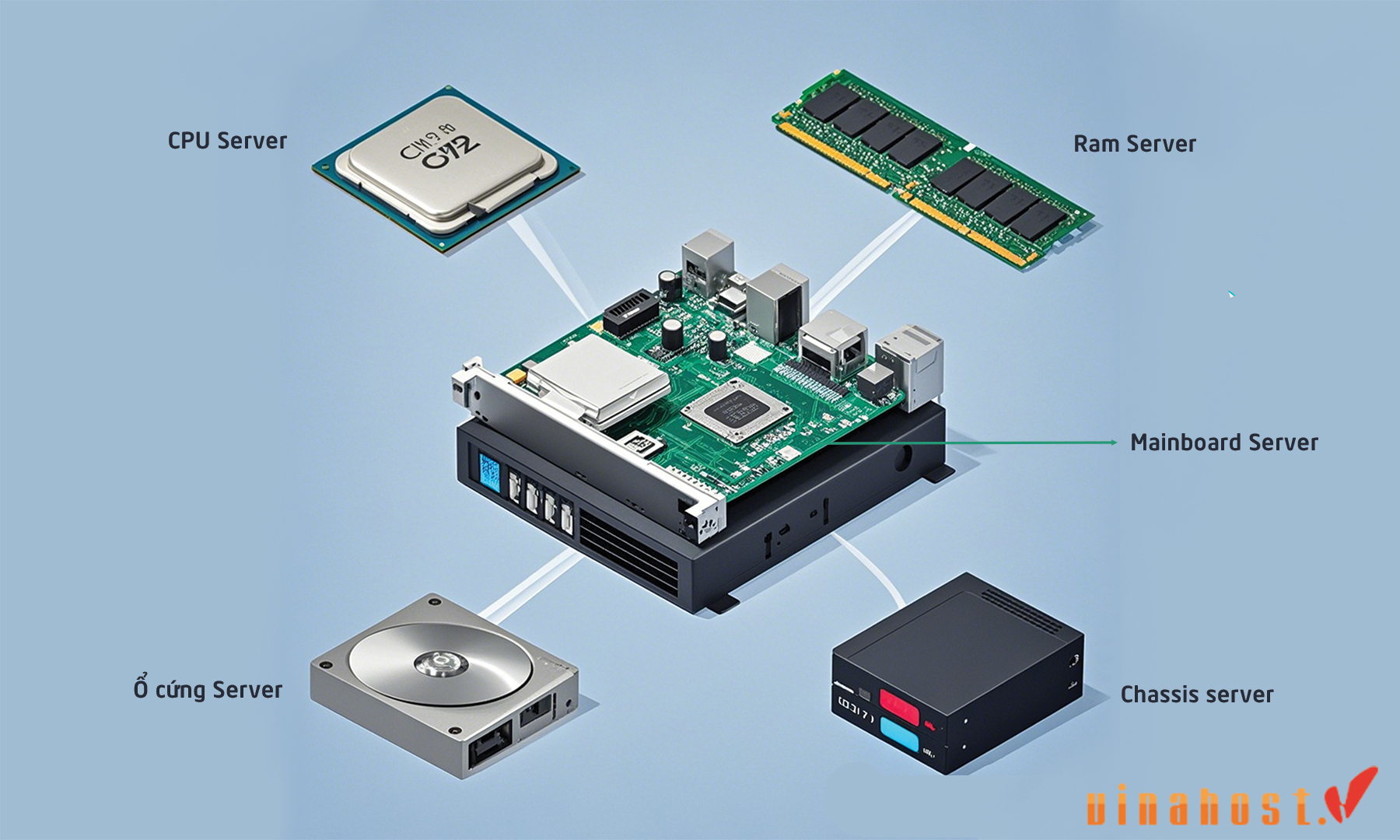 Máy chủ Server là gì? Phân loại, vai trò và Cách hoạt động