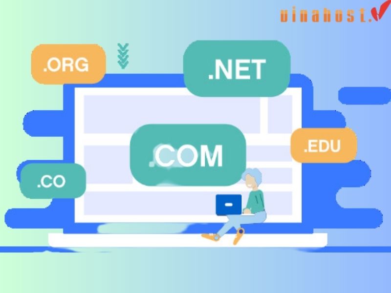 Phân biệt giữa Transfer Domain và Domain Mapping