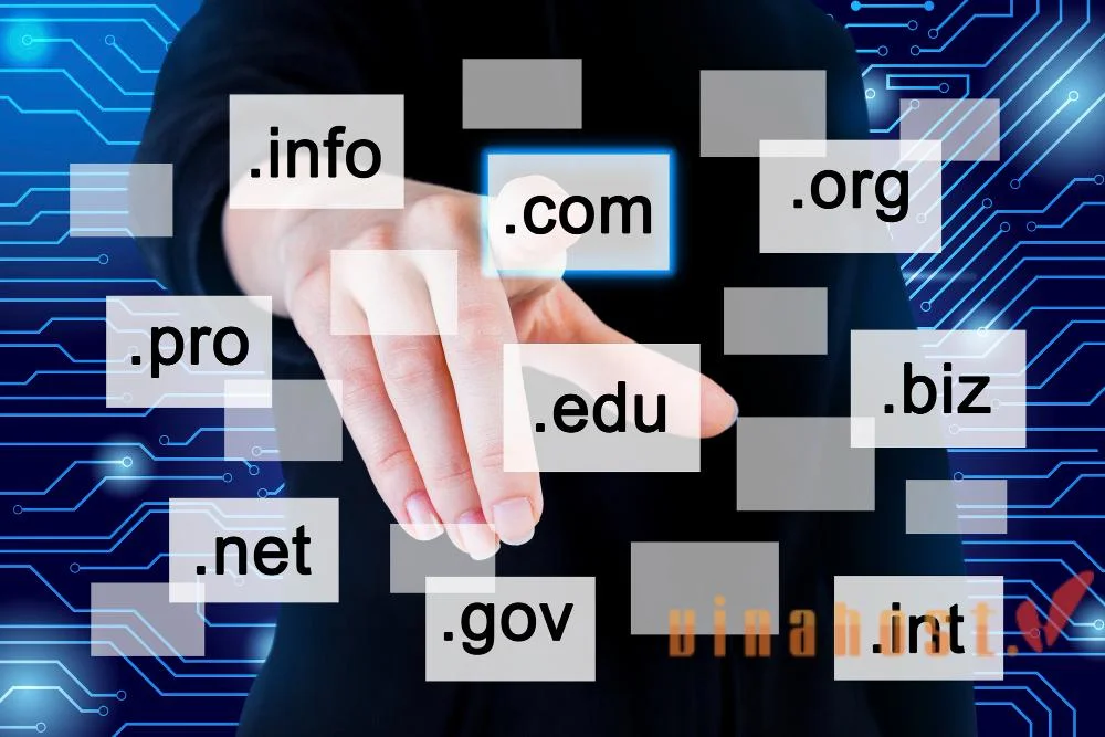 What is a Top Level domain