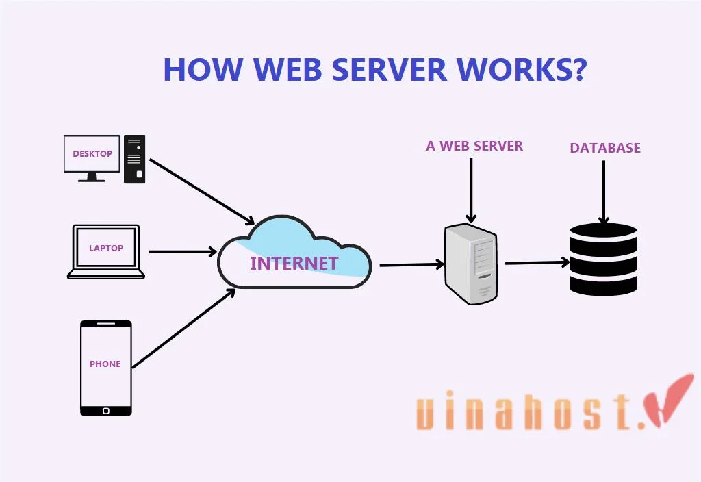 What is web server