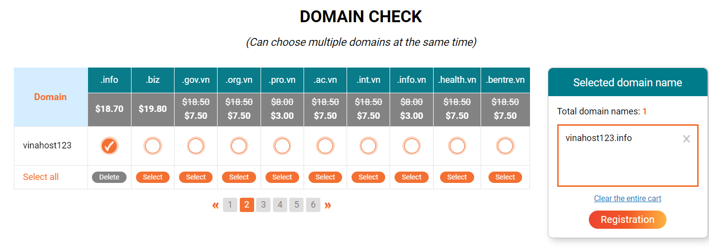 what is domain info