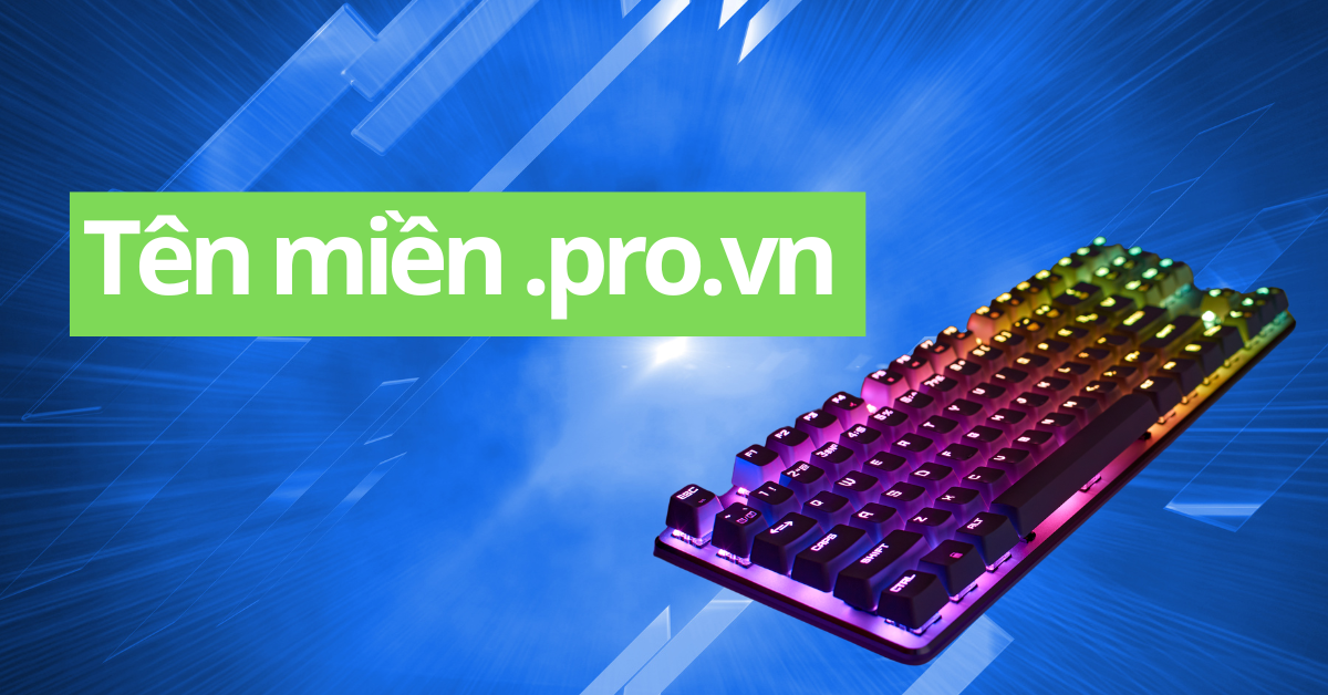 ten mien .pro.vn