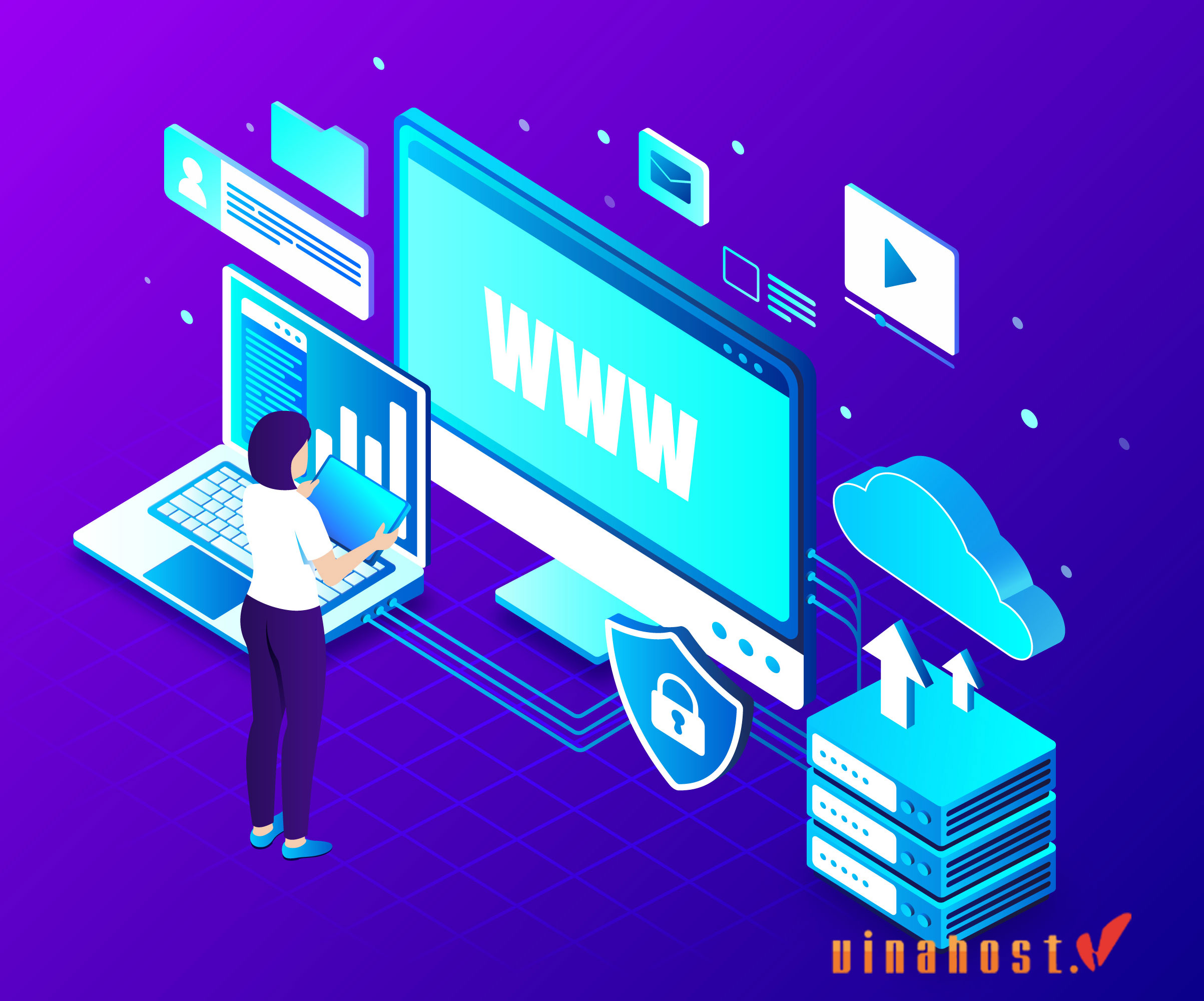 what is domain info