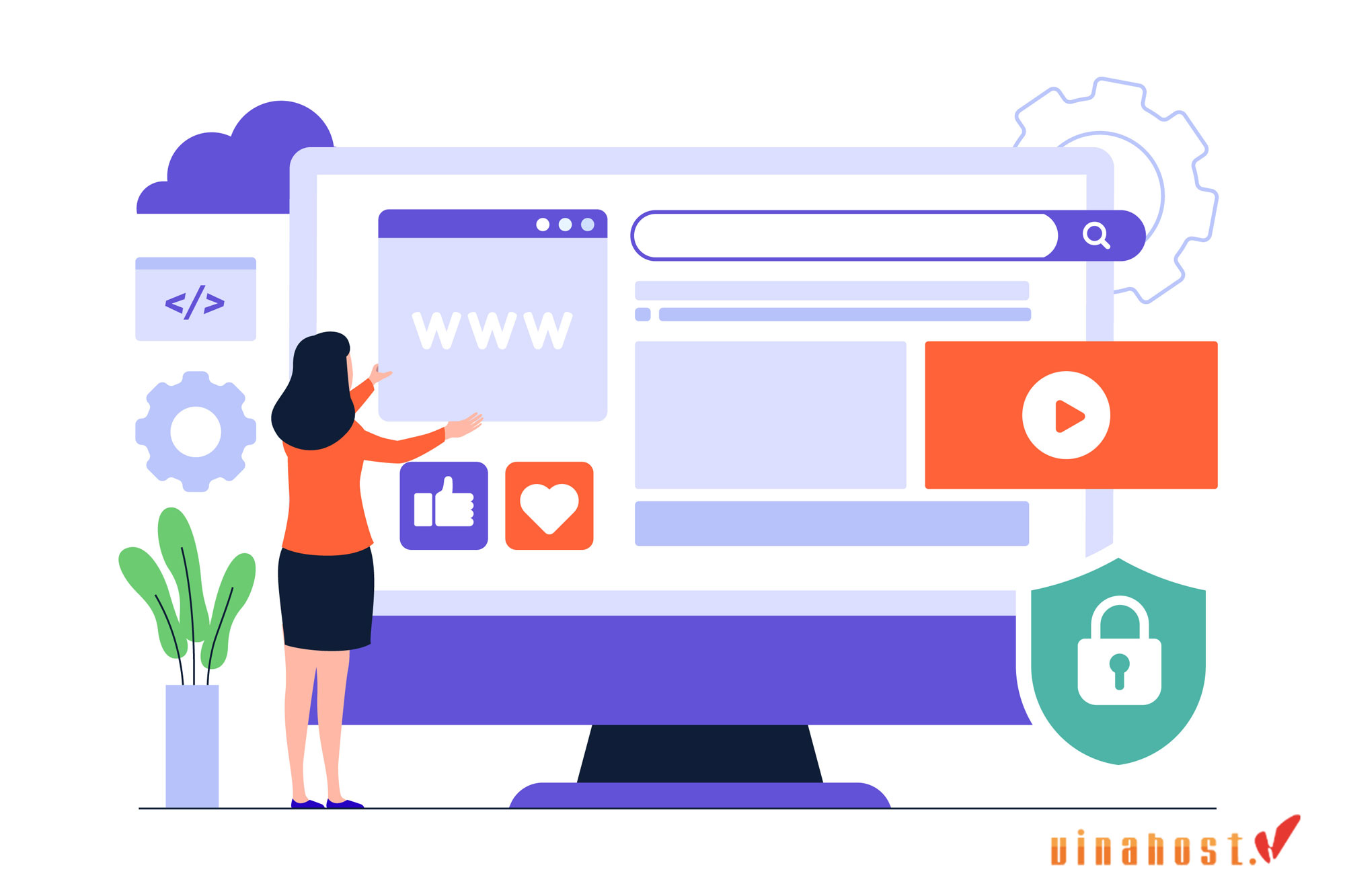 what is domain info