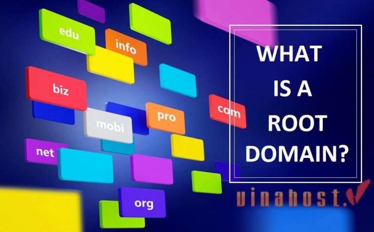 [2024] What is a root domain? | Why does a root domain matter?