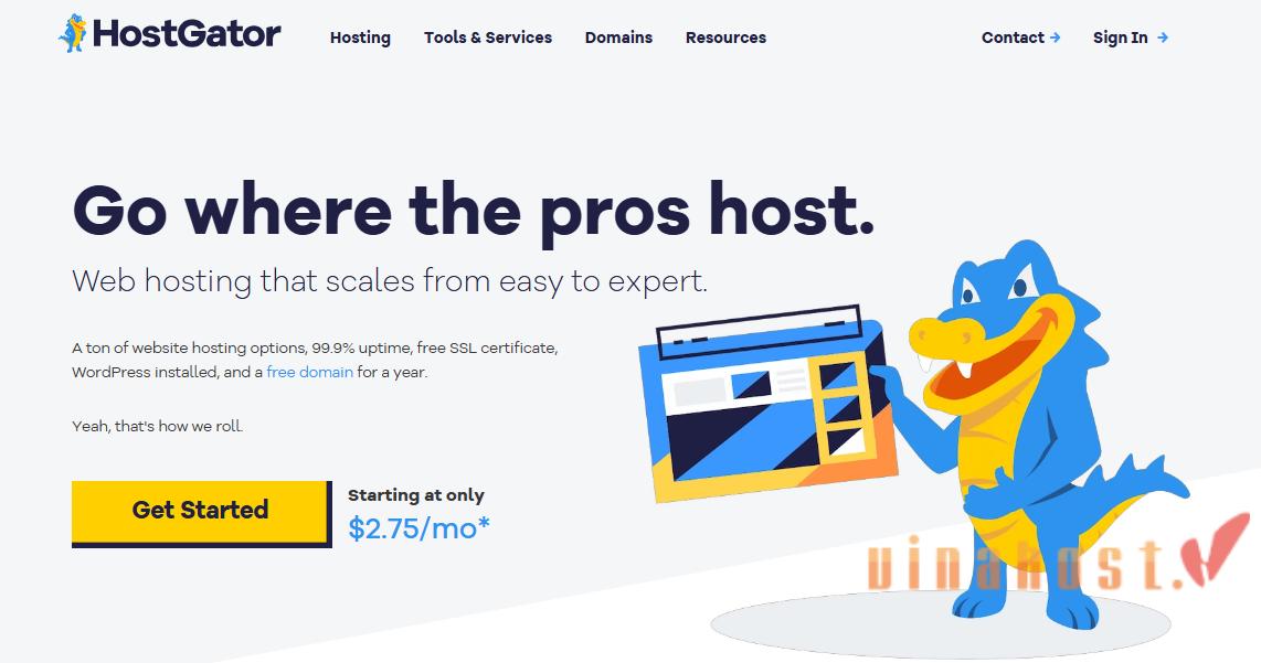 Hosting nước ngoài