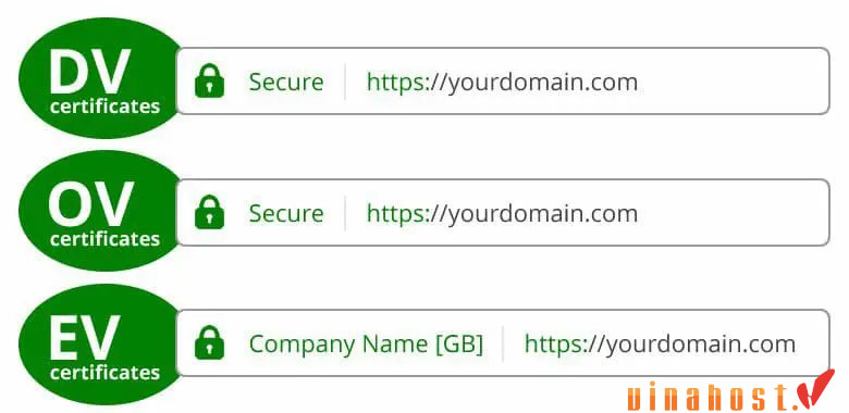dv ssl