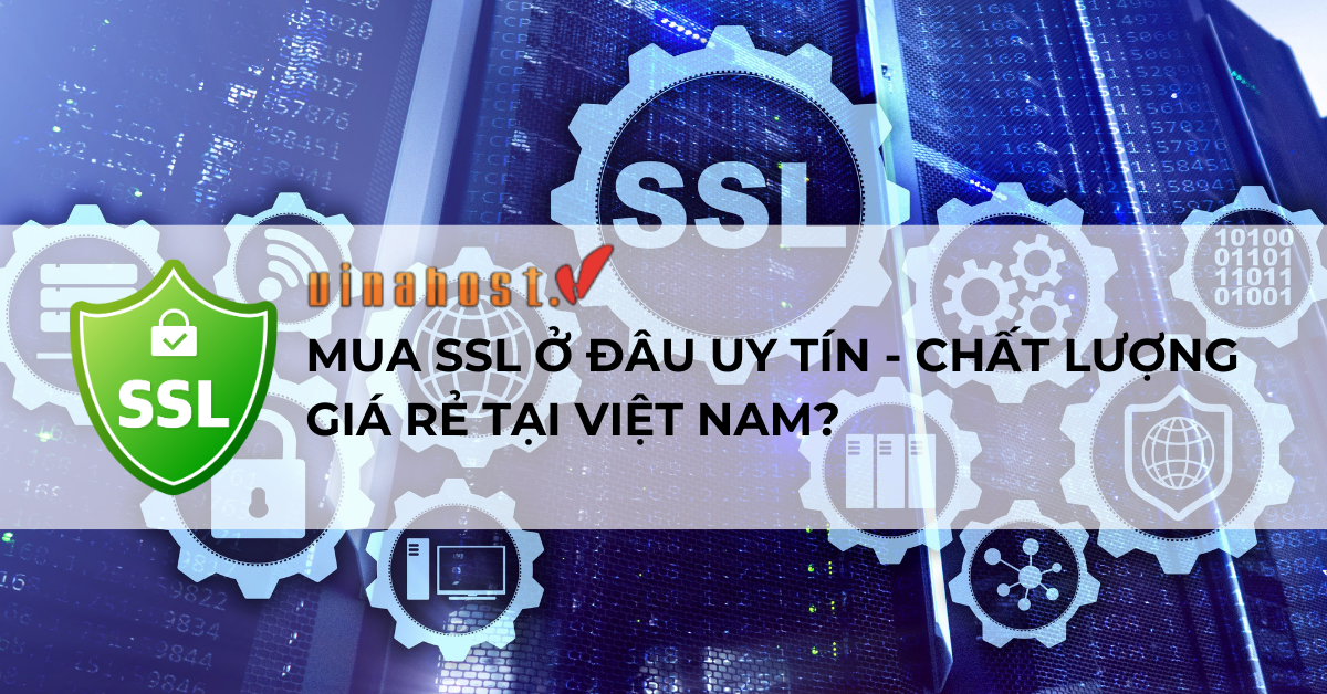 mua ssl ở đâu