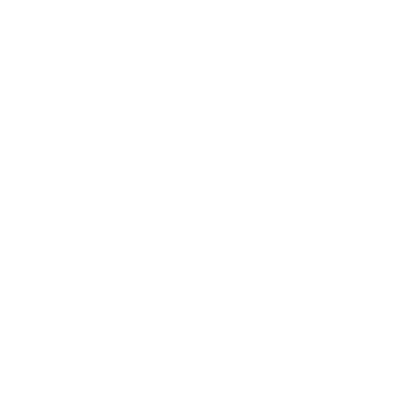 Server Dell