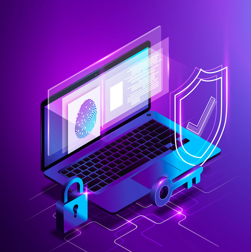 registry lock