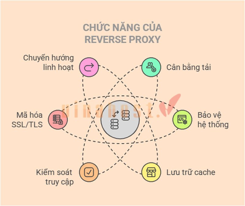 reverse proxy