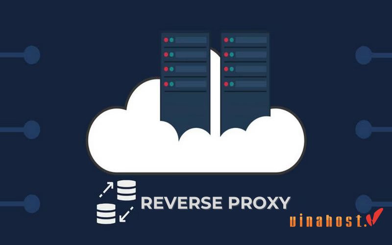 reverse proxy
