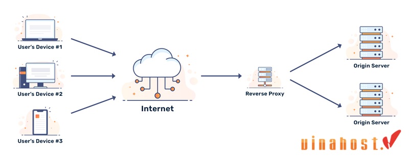 reverse proxy