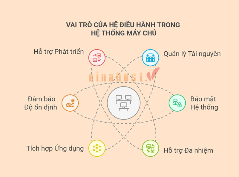 vai trò chức năng của os server