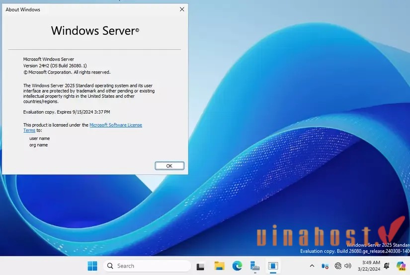 WindowsServer 2025