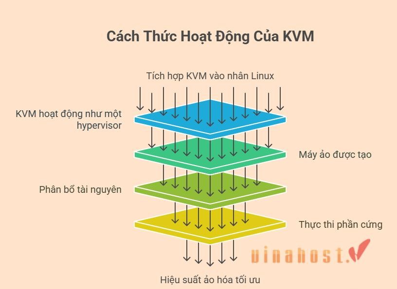 ao hoa kvm la gi