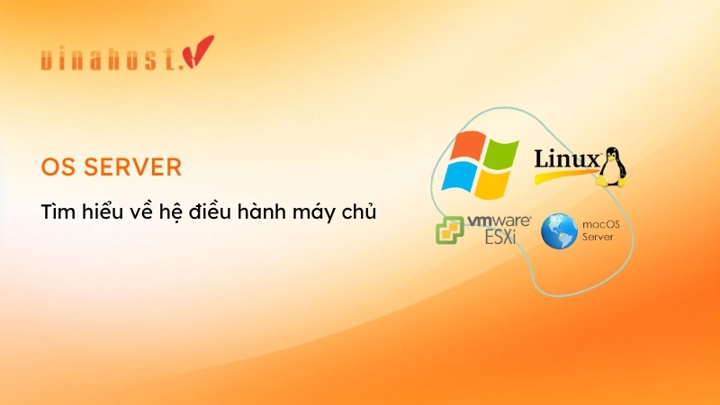 hệ điều hành máy chủ - os server
