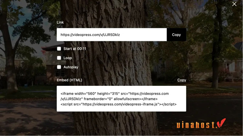 video hosting