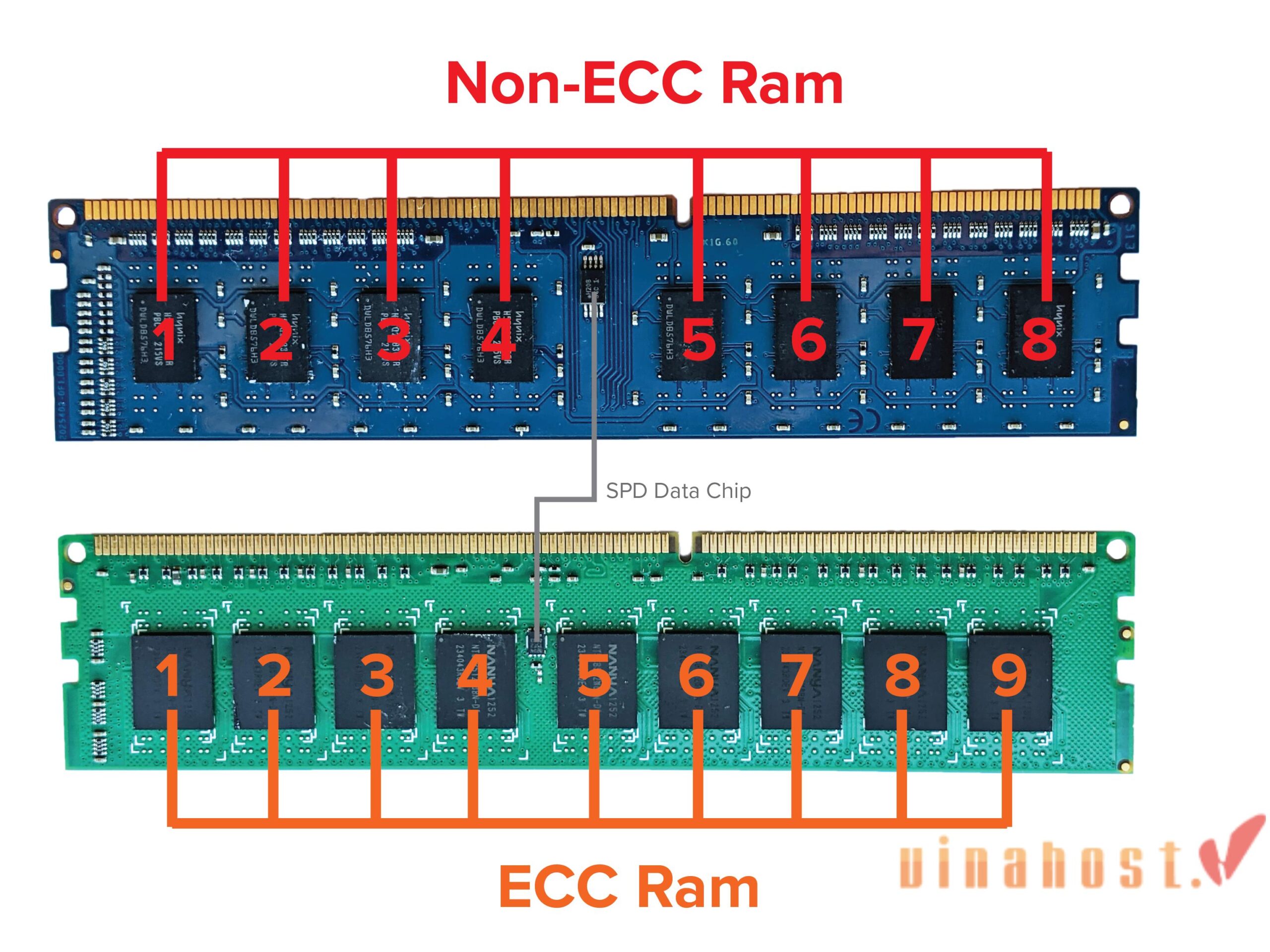 DIMM là gì